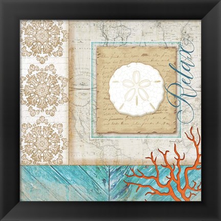 Framed Coastal Sand Dollar Print
