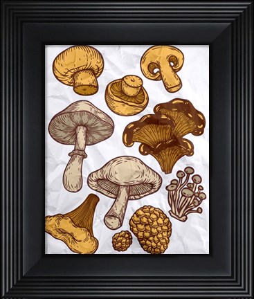 Framed Mushroom Variation Print