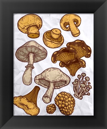 Framed Mushroom Variation Print