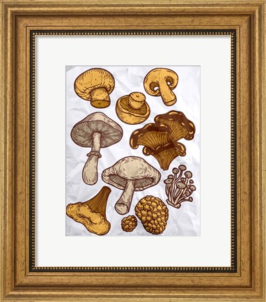 Framed Mushroom Variation Print