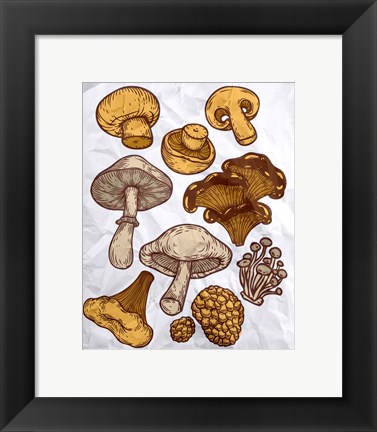 Framed Mushroom Variation Print