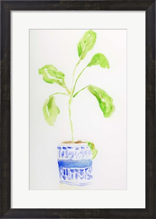Framed Blue and White Botanical II Print