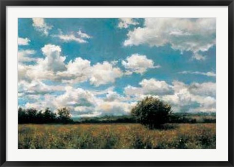 Framed Douglas Edwards - Midday Sky Size 44.25x31.5 Print