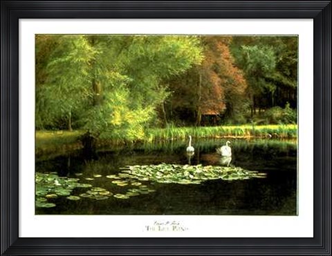 Framed Lily Pond Print
