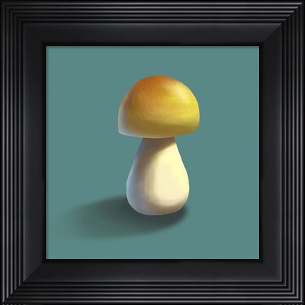 Framed Mushroom on Teal Background Part II Print
