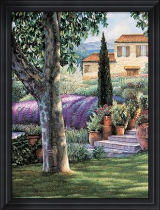 Framed Provence Afternoon I Print