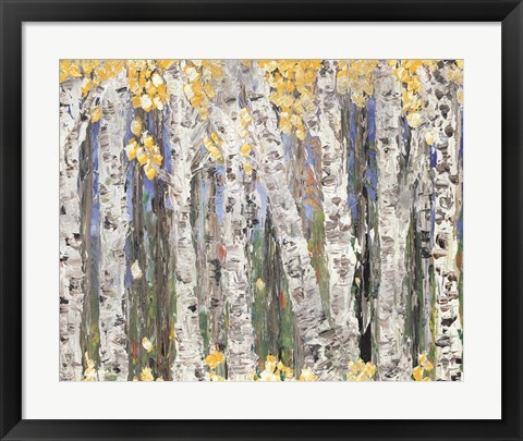 Framed Yellow Leaf Birch Trees Print