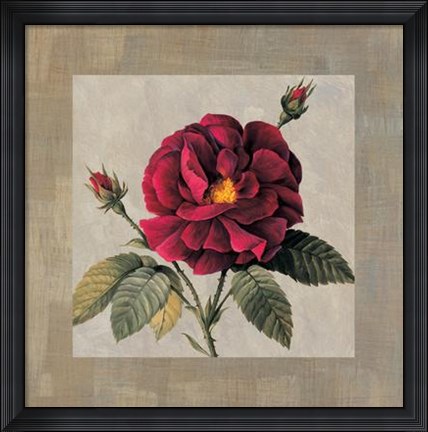 Framed E. Lopez - Timeless II Size 31.5x31.5 Print