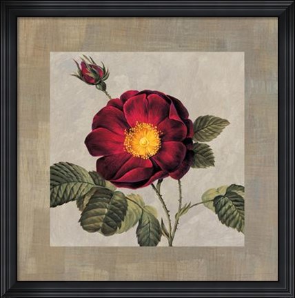 Framed E. Lopez - Timeless I Size 31.5x31.5 Print