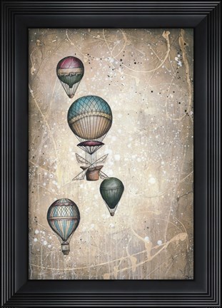 Framed Taking to the Skies I Print