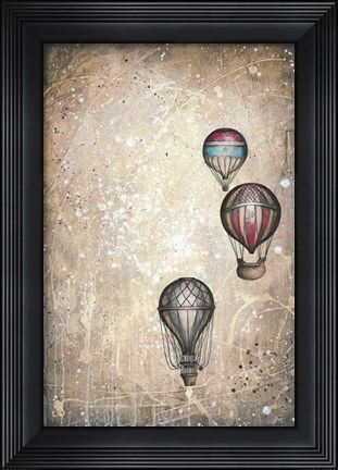 Framed Taking to the Skies II Print