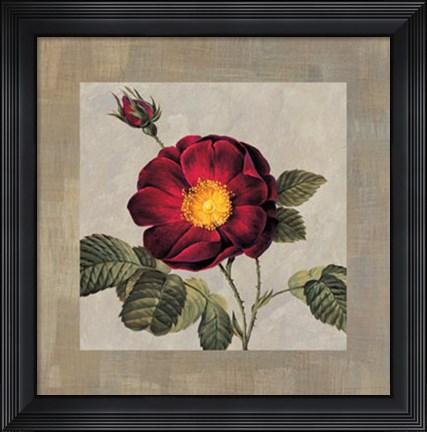 Framed Timeless I Print