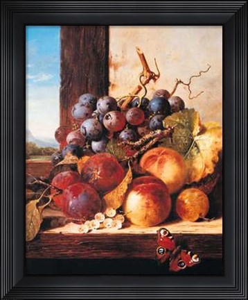Framed Plums Peaches Grapes &amp; a Butterfly Print