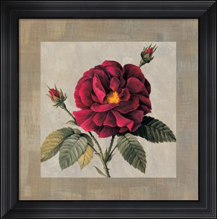 Framed Timeless II Print