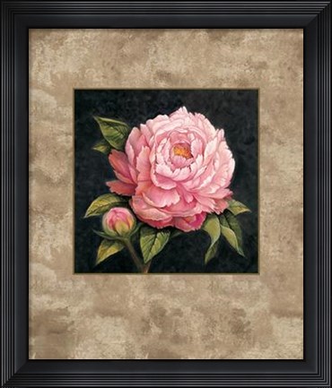 Framed Pink Peony Print