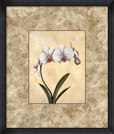 Framed Perfection I Print