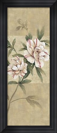 Framed Elegance II Print