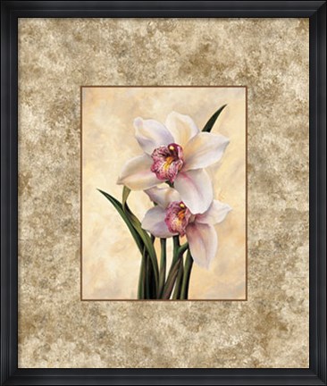 Framed Perfection II Print