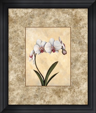 Framed Perfection I Print