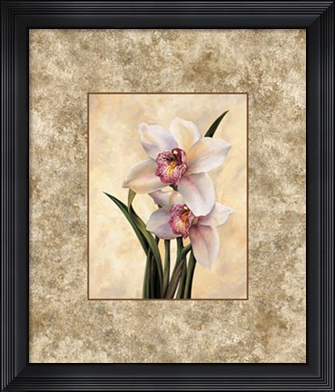 Framed Perfection II Print