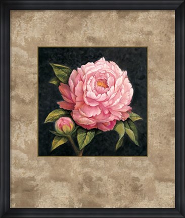 Framed Pink Peony Print