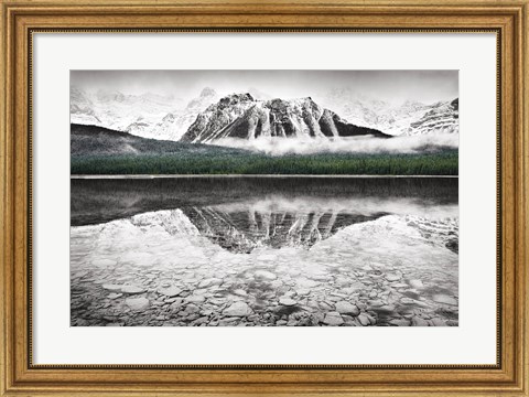 Framed Waterfowl Lake I BW with Color Print
