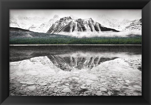 Framed Waterfowl Lake I BW with Color Print