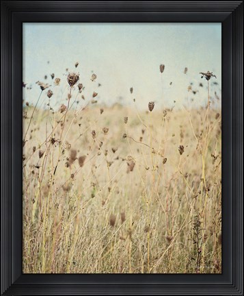 Framed Falling Queen Annes Lace II Crop Print