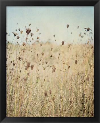 Framed Falling Queen Annes Lace II Crop Print