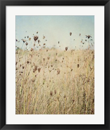 Framed Falling Queen Annes Lace II Crop Print