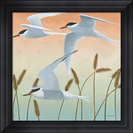 Framed Free as a Bird II Print