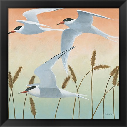 Framed Free as a Bird II Print