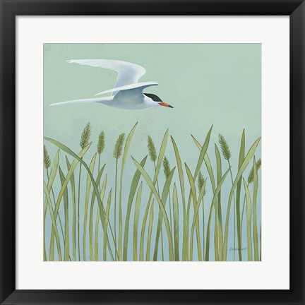 Framed Free as a Bird I Print