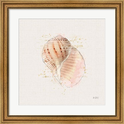 Framed Shell Collector V Print