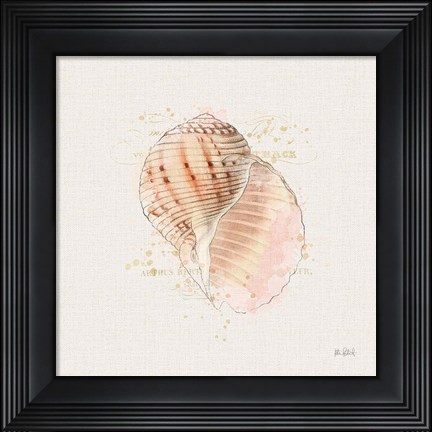 Framed Shell Collector V Print