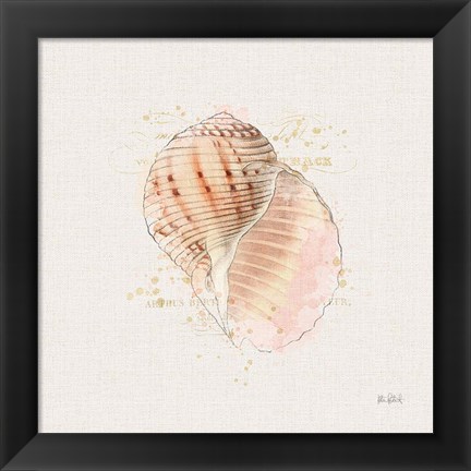 Framed Shell Collector V Print