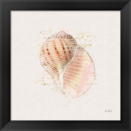 Framed Shell Collector V Print