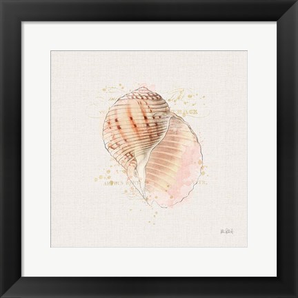 Framed Shell Collector V Print