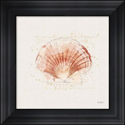 Framed Shell Collector IV Print