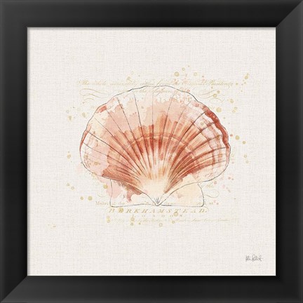 Framed Shell Collector IV Print