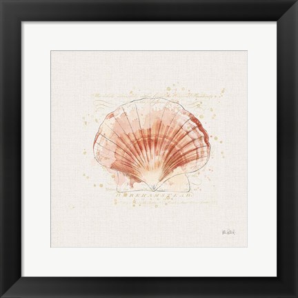 Framed Shell Collector IV Print