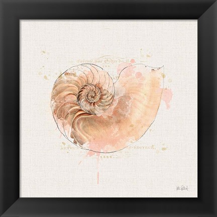 Framed Shell Collector II Print