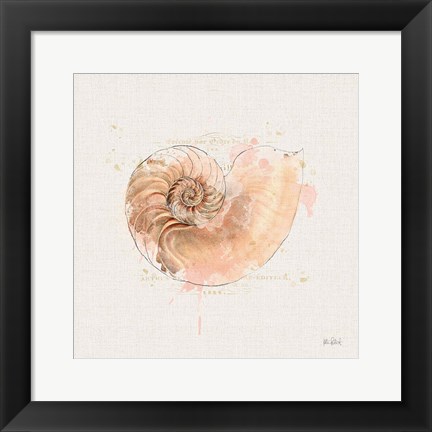 Framed Shell Collector II Print