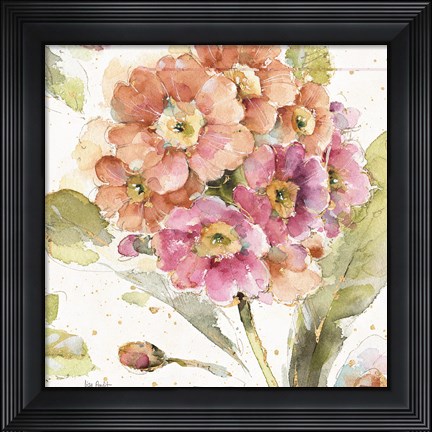 Framed Country Bloom VI Print