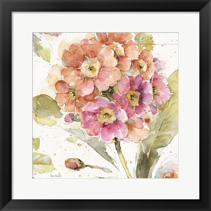 Framed Country Bloom VI Print