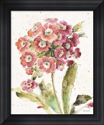 Framed Country Bloom II Print