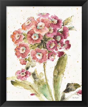 Framed Country Bloom II Print