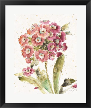 Framed Country Bloom II Print