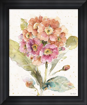Framed Country Bloom III Print
