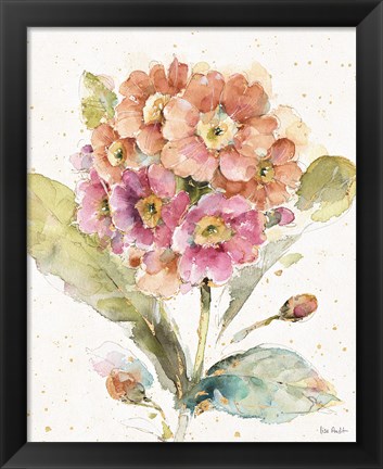 Framed Country Bloom III Print